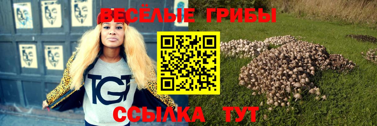 Рузаевка  Псилоцибиновые грибы прущие грибы  Вход с VPN  Галлюциногенные грибы ЛСД 